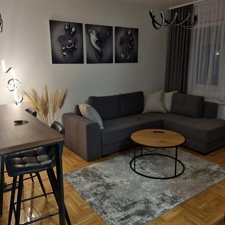 Apartman Dina Apartment Пирот Екстериор снимка